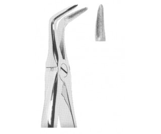 Extracting Forceps With Anatomically Shaped Handle